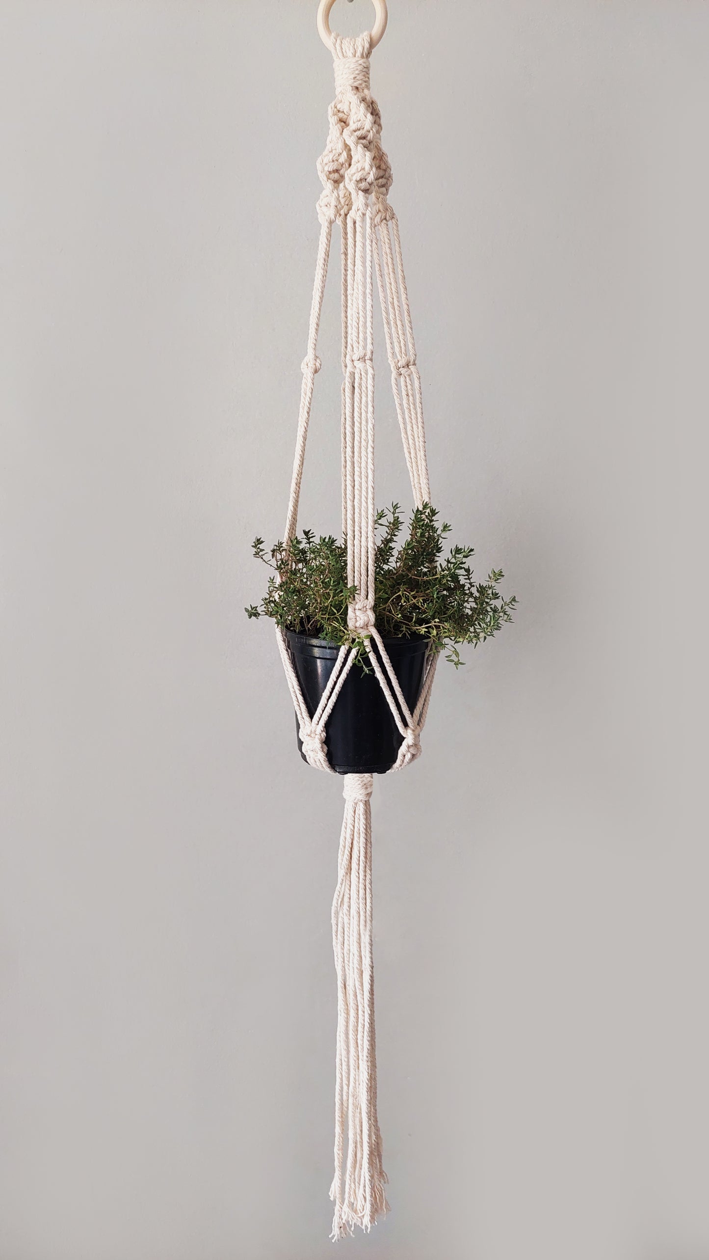 Macrame Plant Hanger - Square Knot