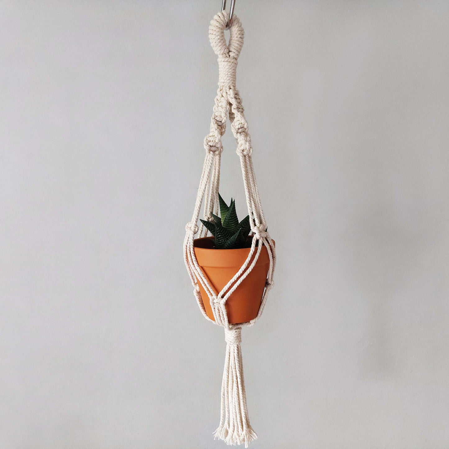 Set of 2 macrame mini plant hangers