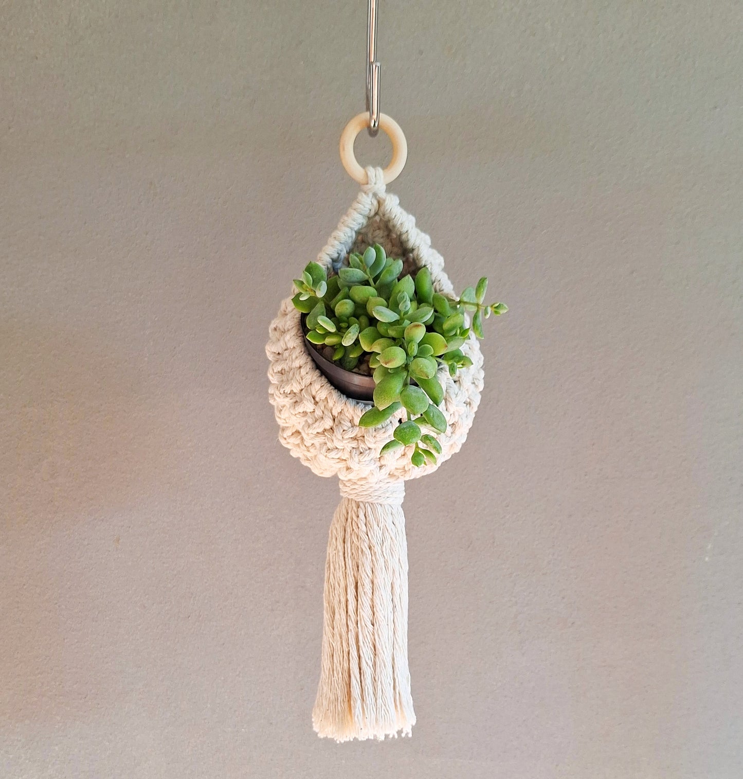 Air Plant Nest