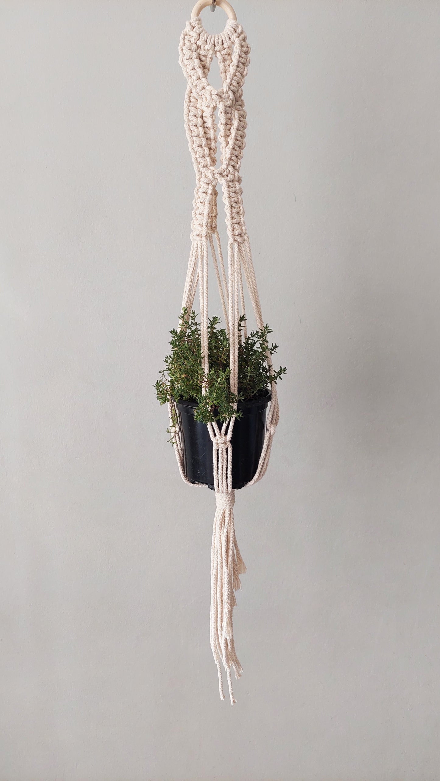 Macrame Plant Hanger -Braided Square Knot